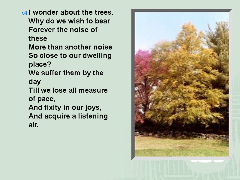 I wonder about the trees. Why do we wish to bear Forever the noise